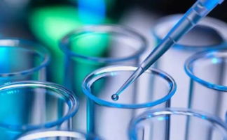 羽蛻啟動(dòng)全員專業(yè)化常態(tài)化培訓(xùn) 夯實(shí)生物科技護(hù)膚基礎(chǔ)