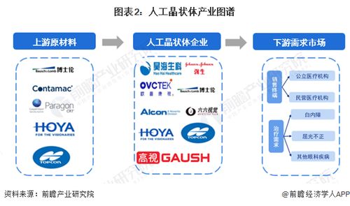 2024年人工晶狀體行業(yè)產業(yè)鏈全景梳理及區(qū)域熱力圖